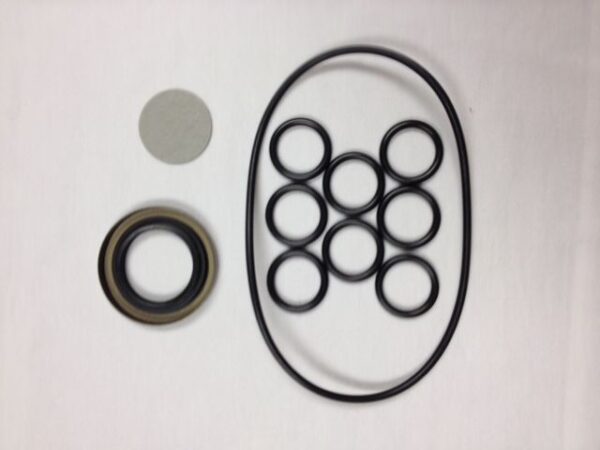 DYNEX SEAL KIT FOR PF3000 PUMPS