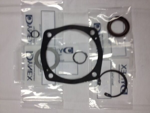 DYNEX SEAL KIT FOR MF2000 MOTORS